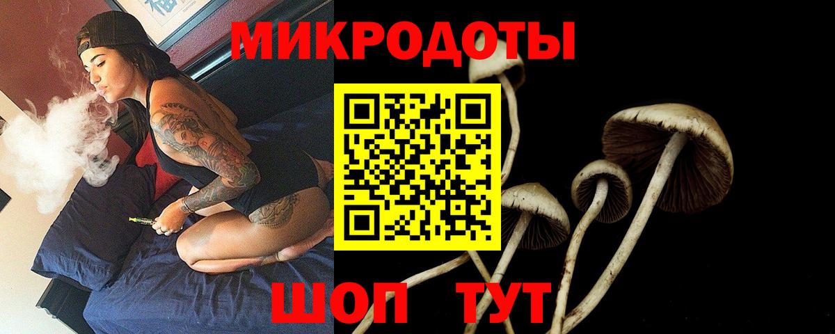 Абинск  Псилоцибиновые грибы Psilocybe  Вход с VPN 